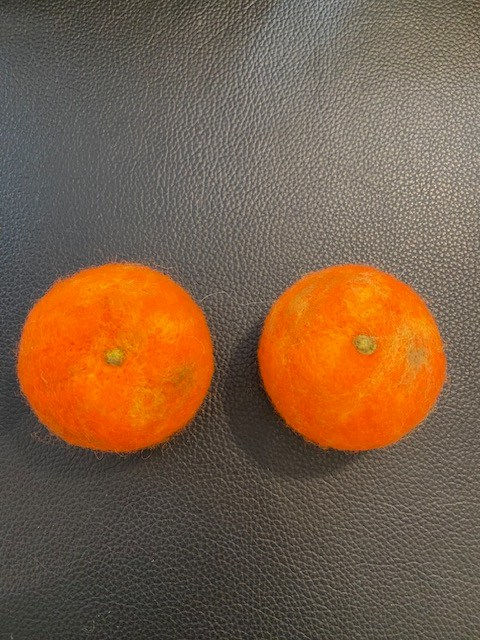 GUY LHOMME Héléna, Clémentine 1, 2023