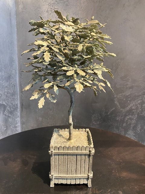 CANE Louis, Chêne moyen, 2023