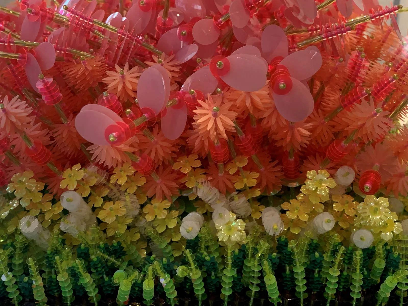 VALLABHANENI Devi, Parterre Fuschias, 2019