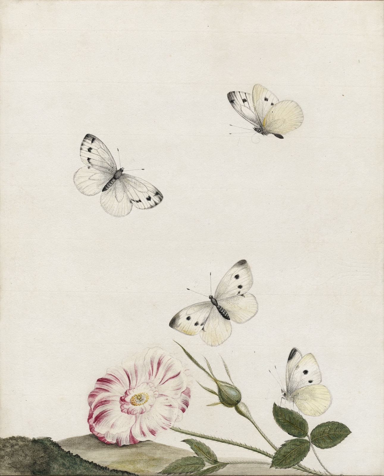 NICOLAAS STRUYCK, A rose with garden whites, ca. 1715
