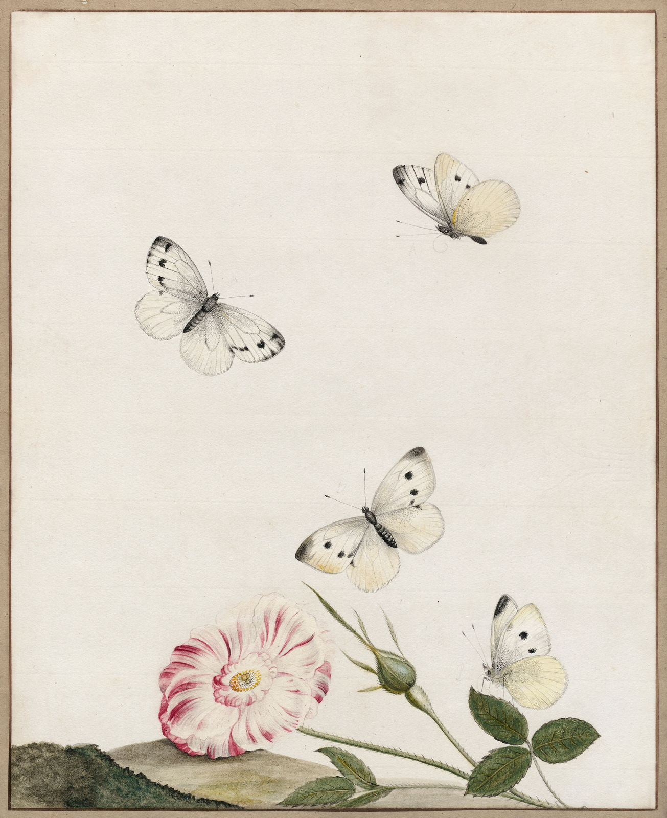 NICOLAAS STRUYCK, A rose with garden whites, ca. 1715