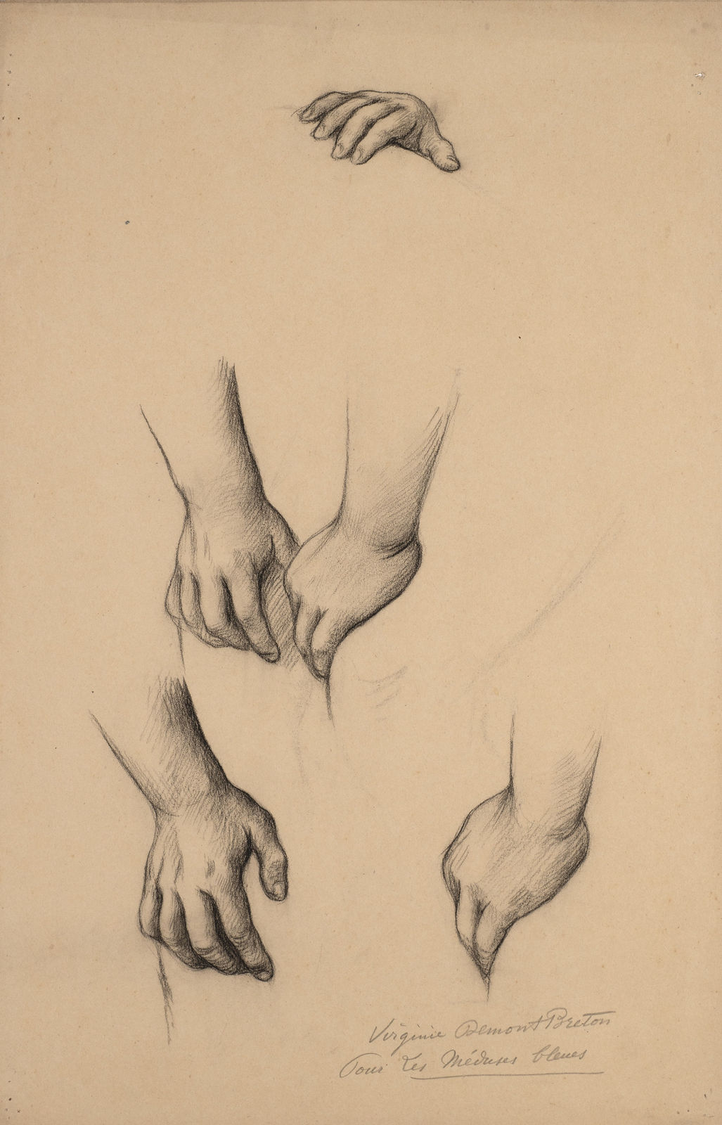 VIRGINIE DEMONT-BRETON, Study of hands for “Les Méduses Bleues”
