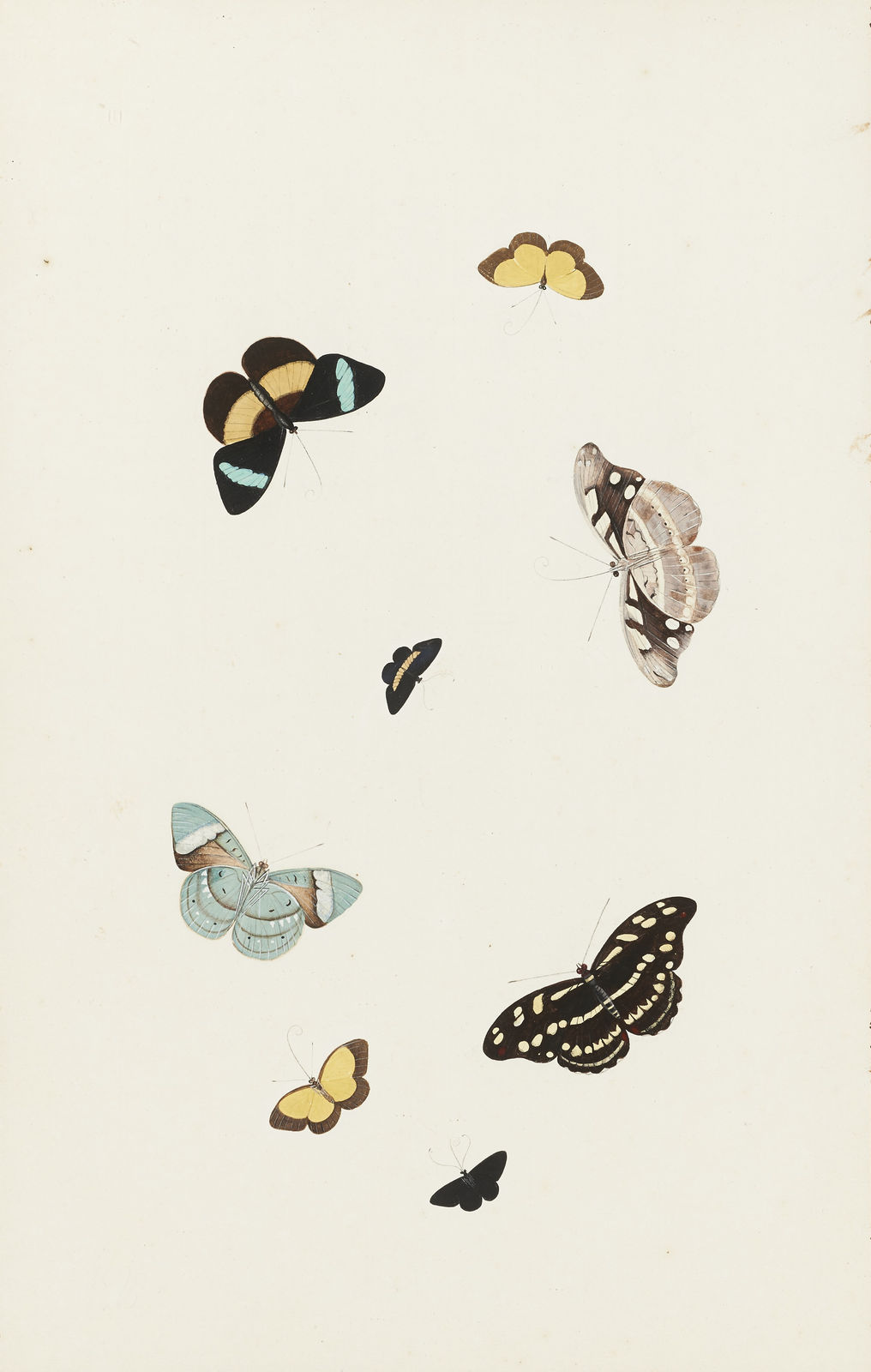 NICOLAAS STRUYCK, Butterflies and moths, ca. 1719