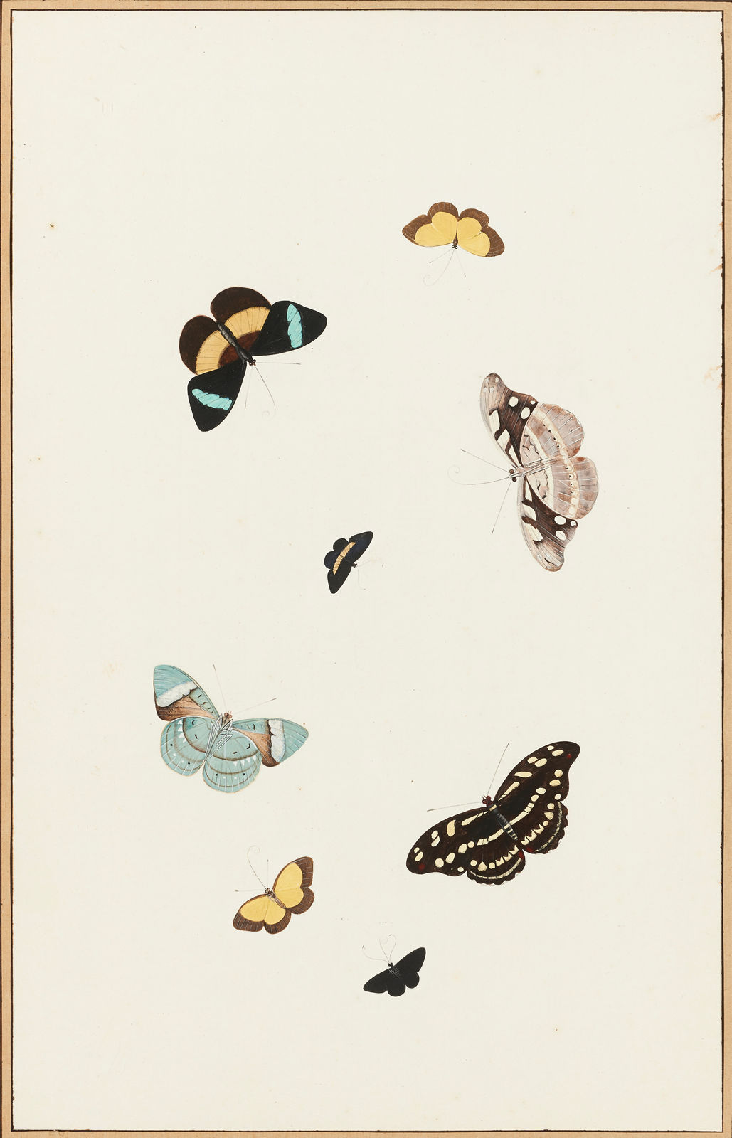 NICOLAAS STRUYCK, Butterflies and moths, ca. 1719