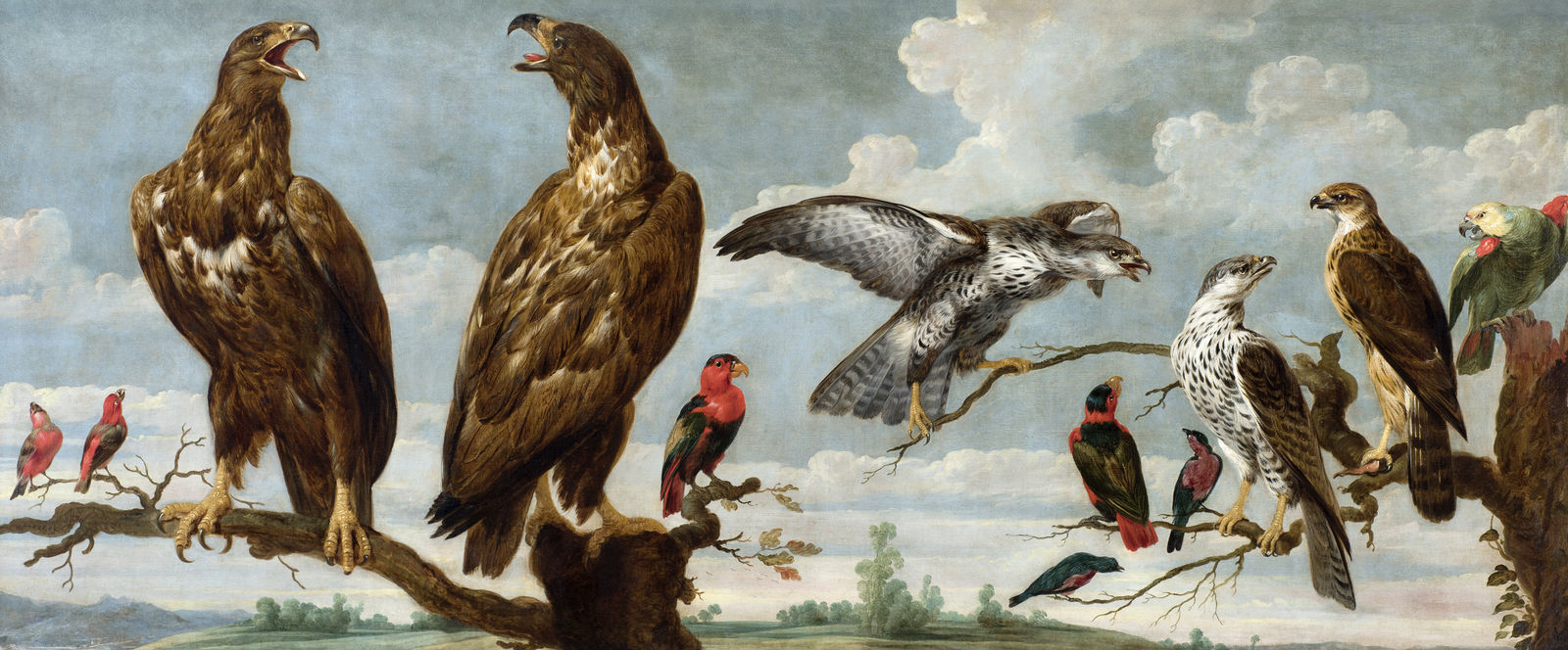 PAUL DE VOS, Birds of Prey, Parrots and Songbirds