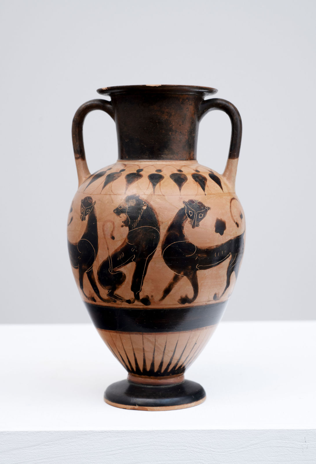 Black-figure Neck Amphora, Greek, Chalcidian, ca. 530-520 B.C.