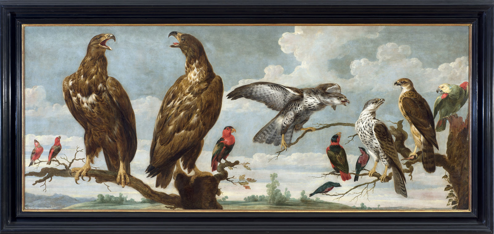 PAUL DE VOS, Birds of Prey, Parrots and Songbirds