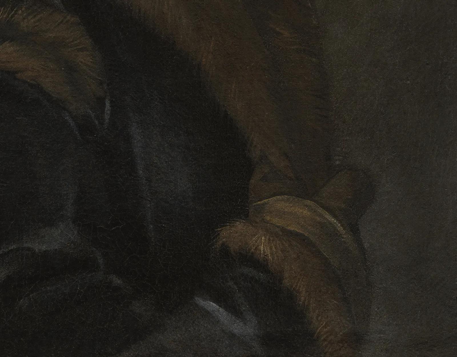 JACOPO ROBUSTI, CALLED IL TINTORETTO, Portrait of a Gentleman, c. 1549-1550