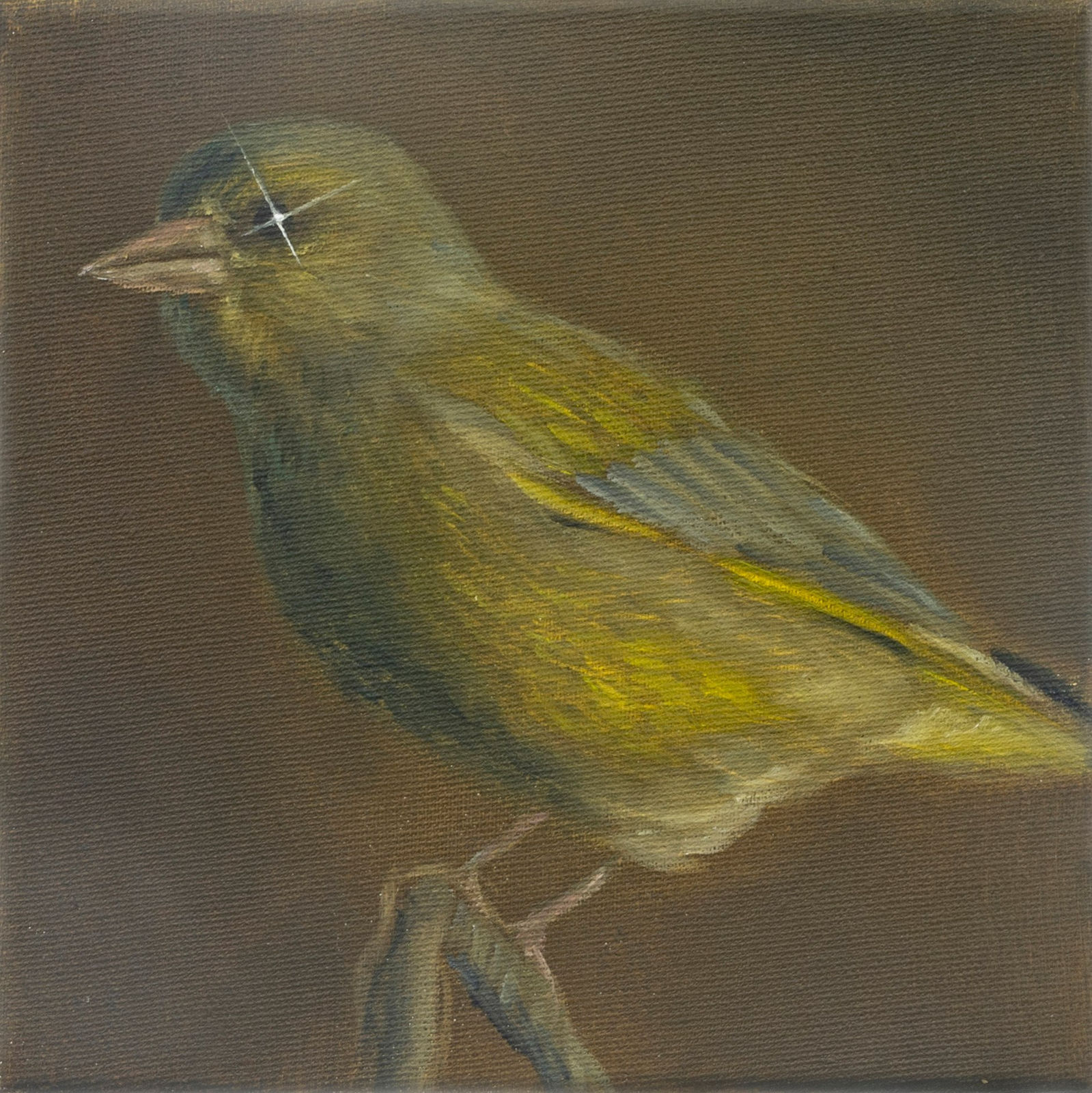 Mia Middleton, Spark, 2022