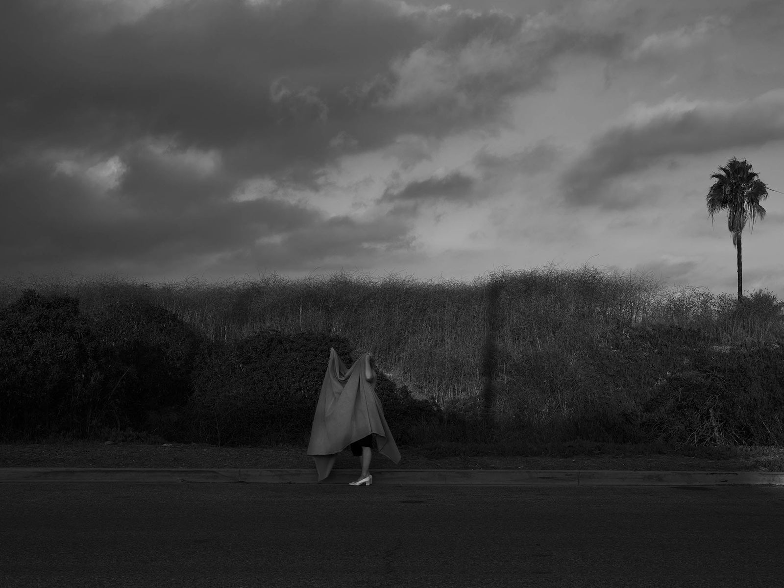 Tania Franco Klein, Woman, Palm tree (self-portrait), 2020