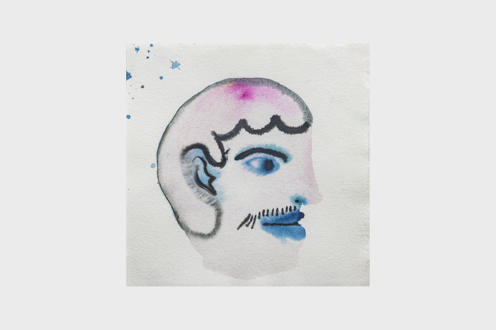 Martin also known as the skink