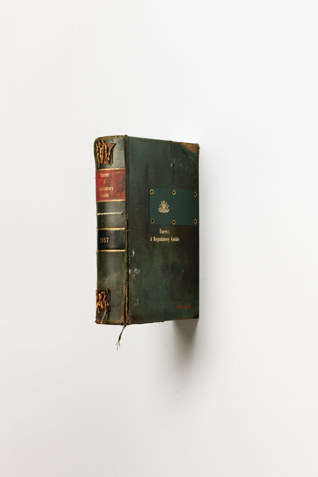 Nick Modrzewski, Faces: A Regulatory Guide, 2021