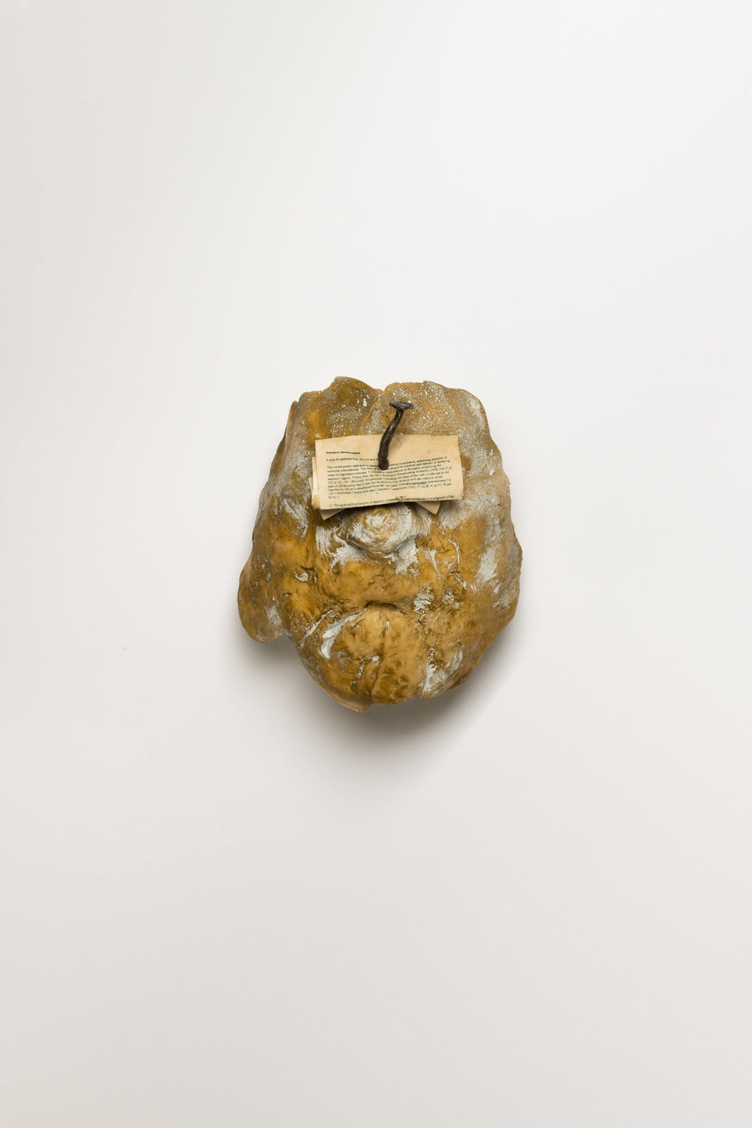 Nick Modrzewski, The Face of Statutory Interpretation, 2021