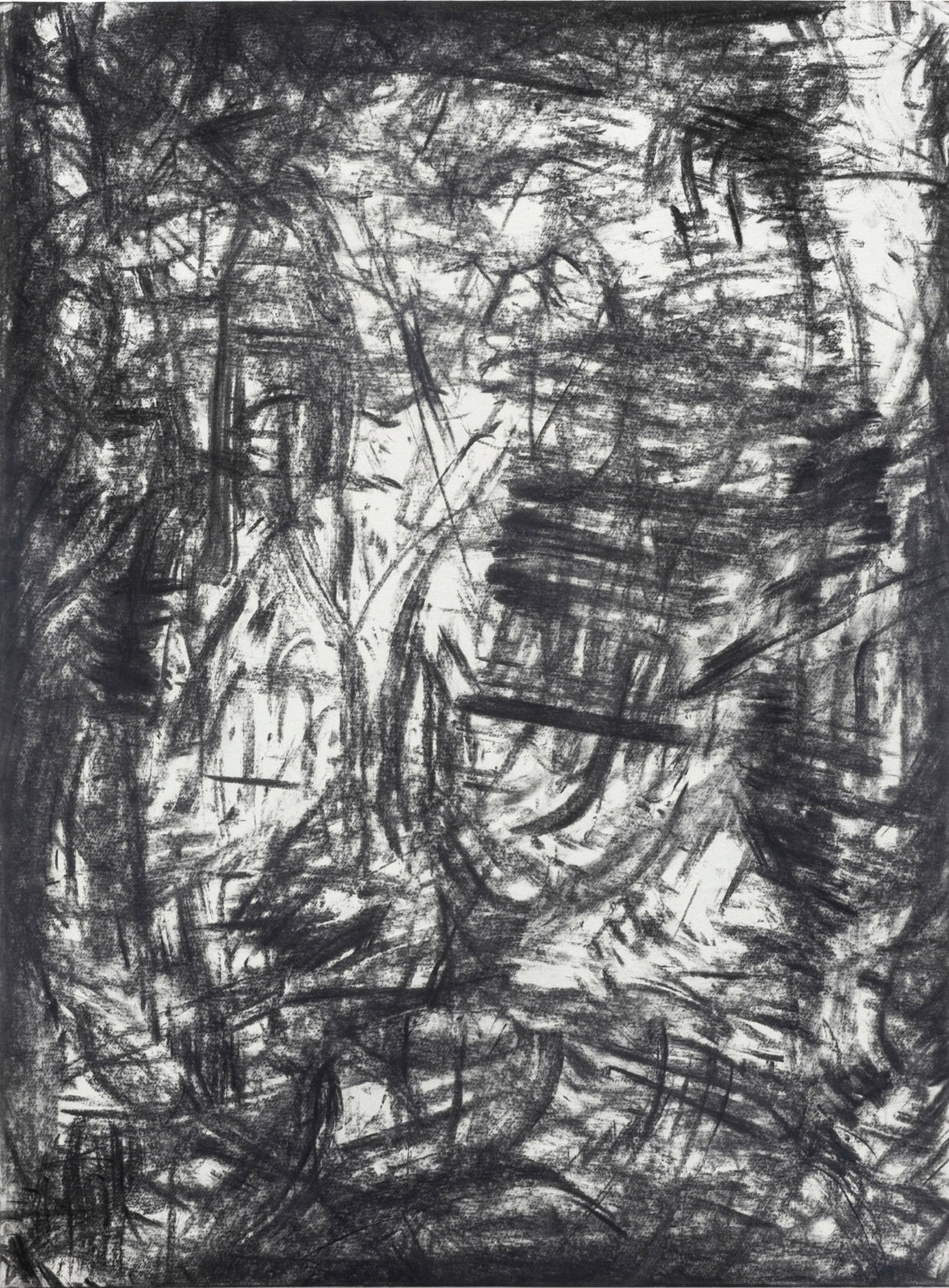 Bushfire tree drawings/rubbings, Bundanon, No.3