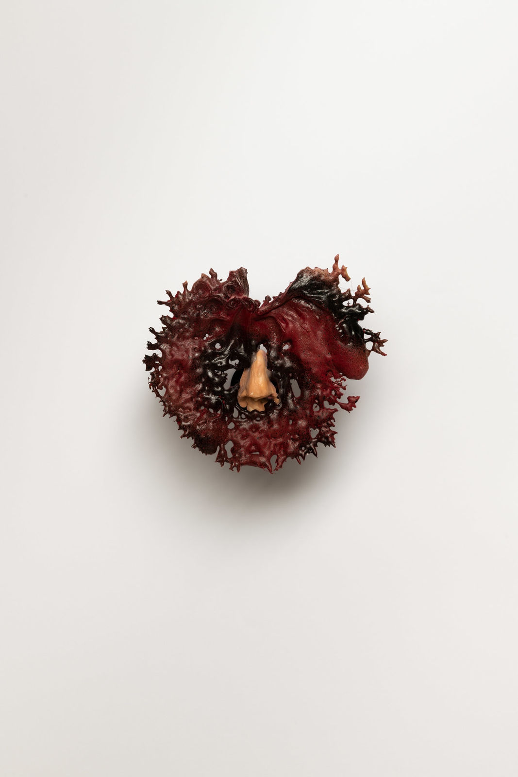 Nick Modrzewski, The Partly Armoured, Growing Floral Design of a Courtroom Keeper, 2021