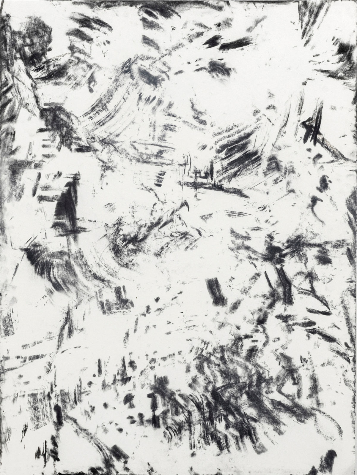 Bushfire tree drawings/rubbings, Bundanon, No.2