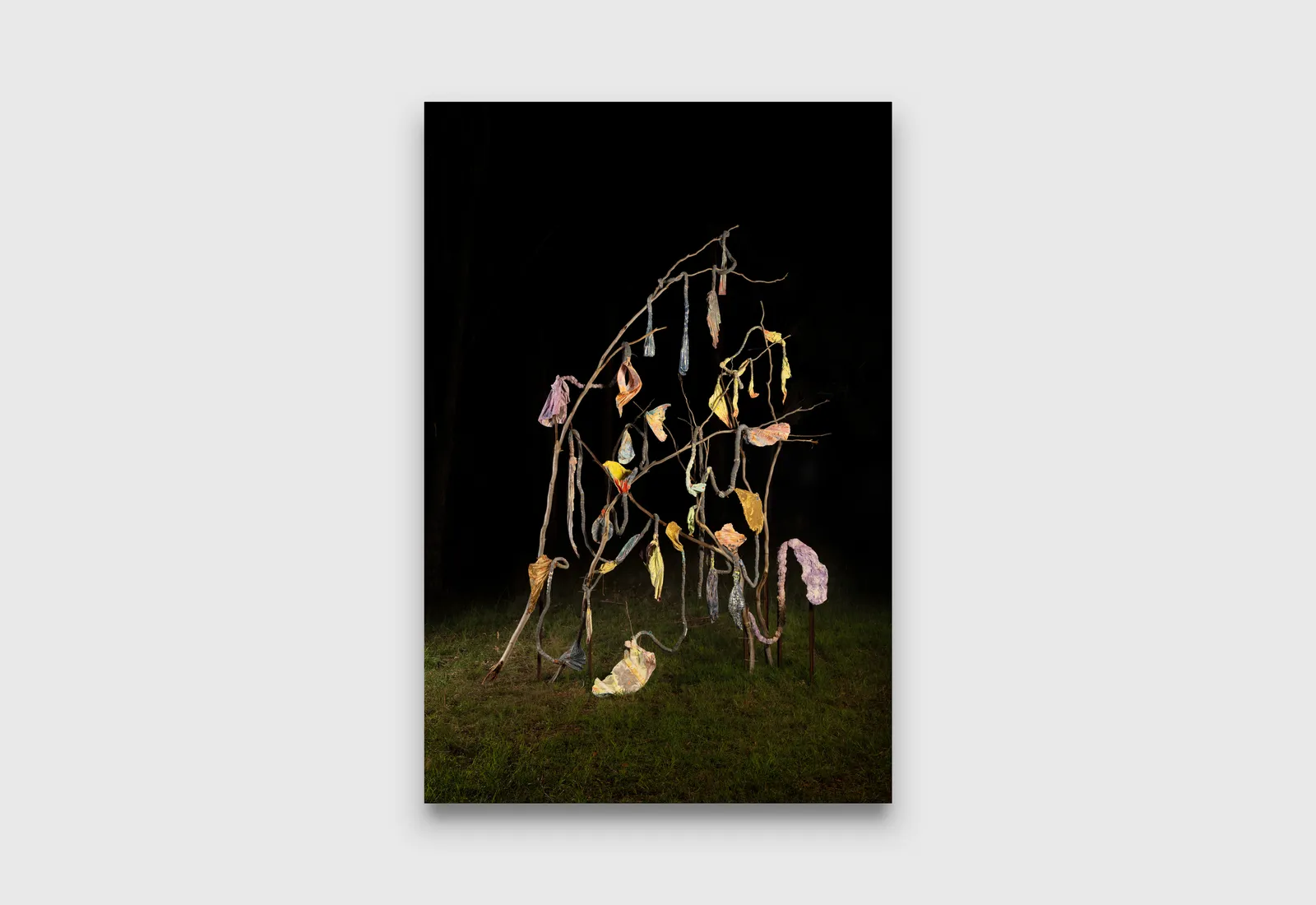 Shan Turner-Carroll, I Love You, 2026