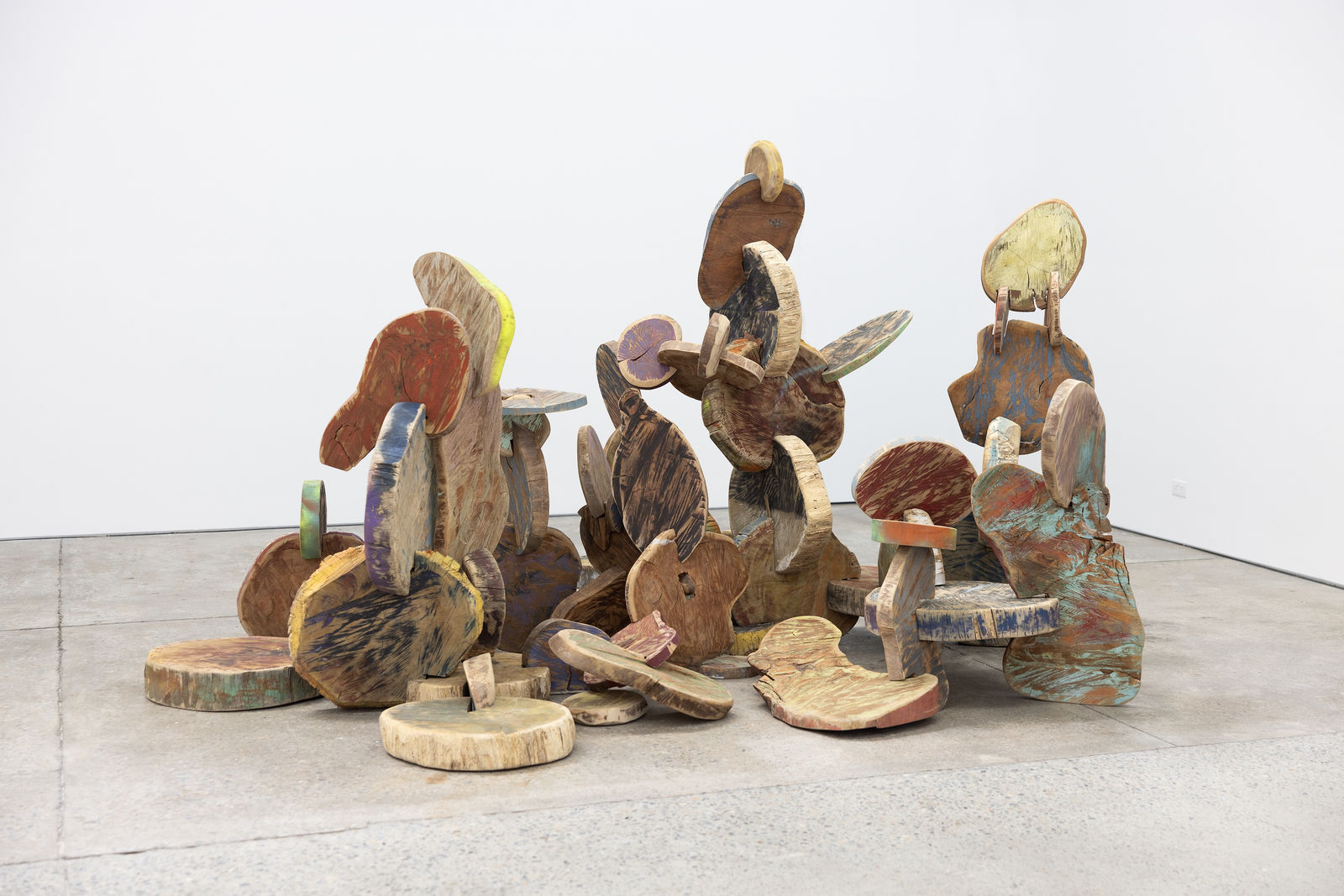 Shan Turner-Carroll, Ok you can be a dancer , 2026