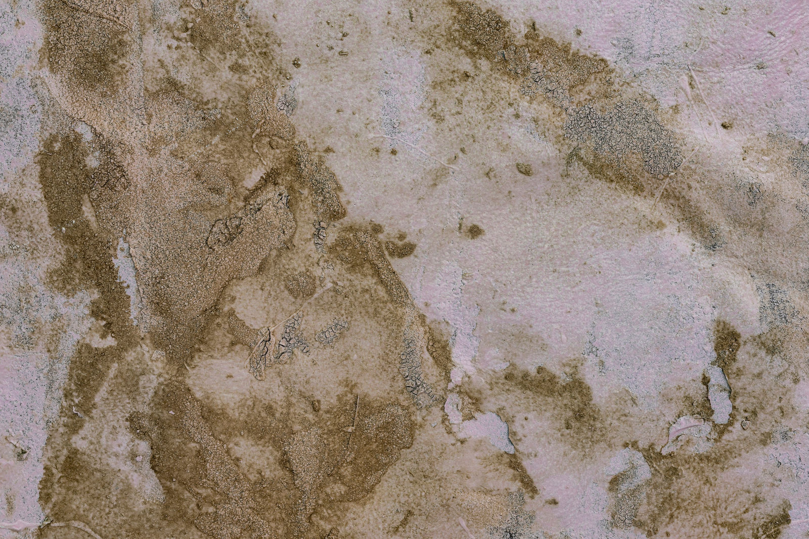 Rindon Johnson, Freya alone knows, the fate of men, and the fates of women, she tells to none, 2023