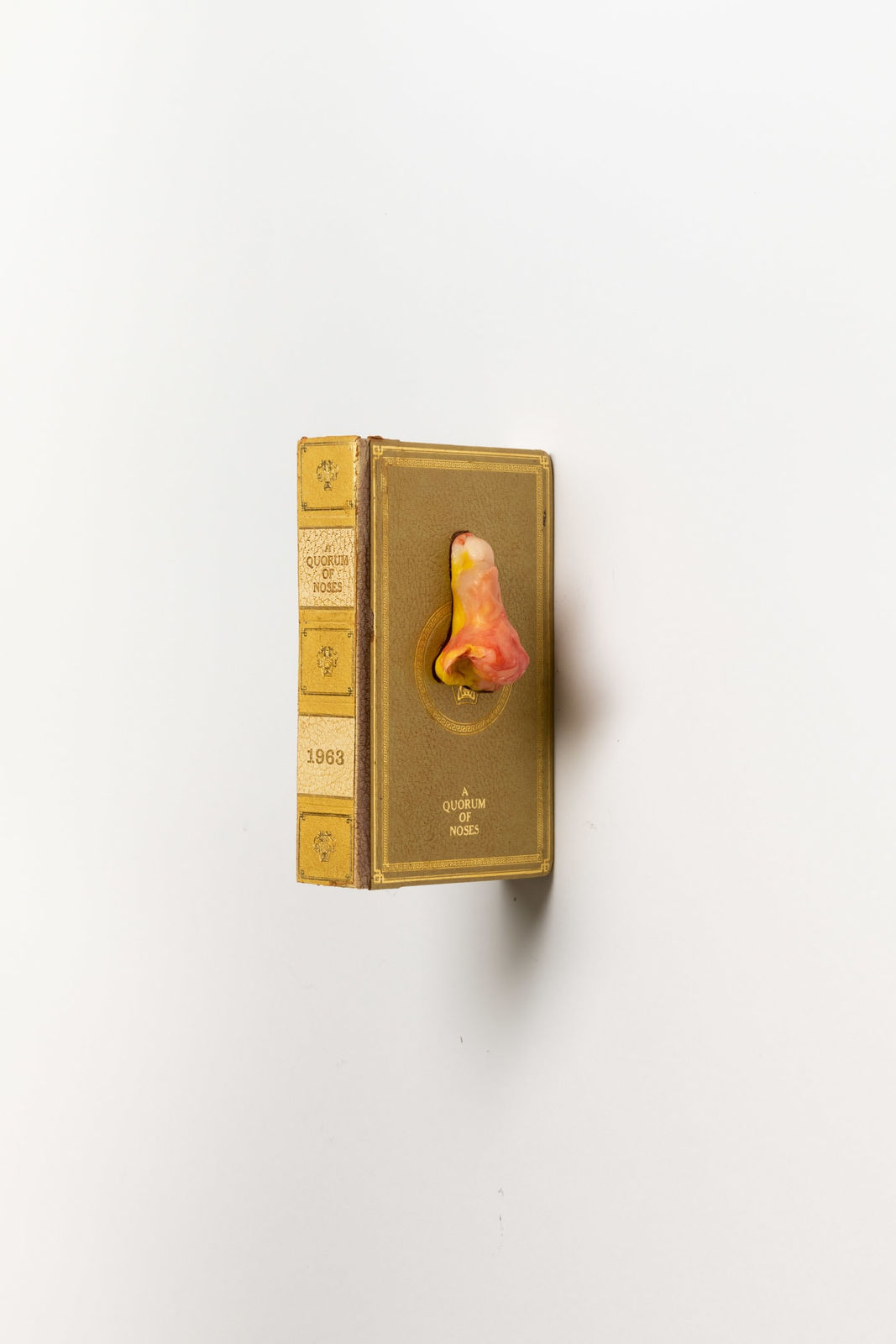 Nick Modrzewski, A Quorum of Noses, 2021