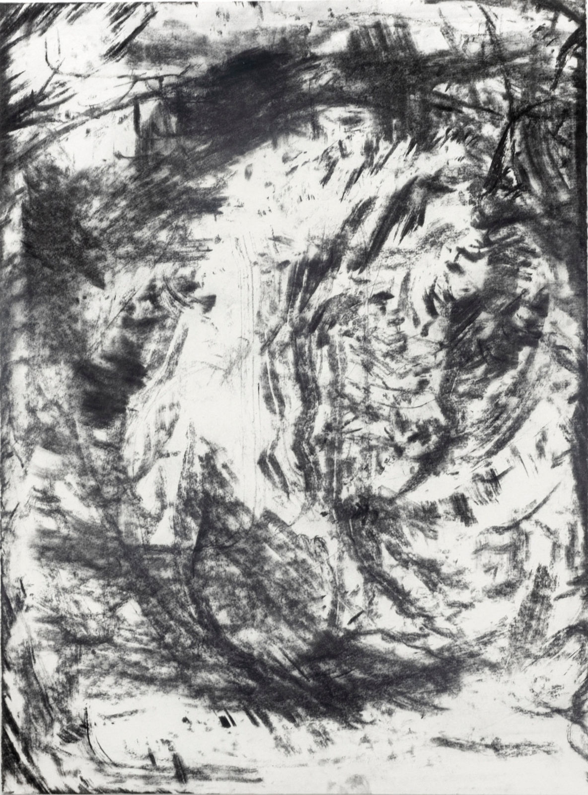 Bushfire tree drawings/rubbings, Bundanon, No.4