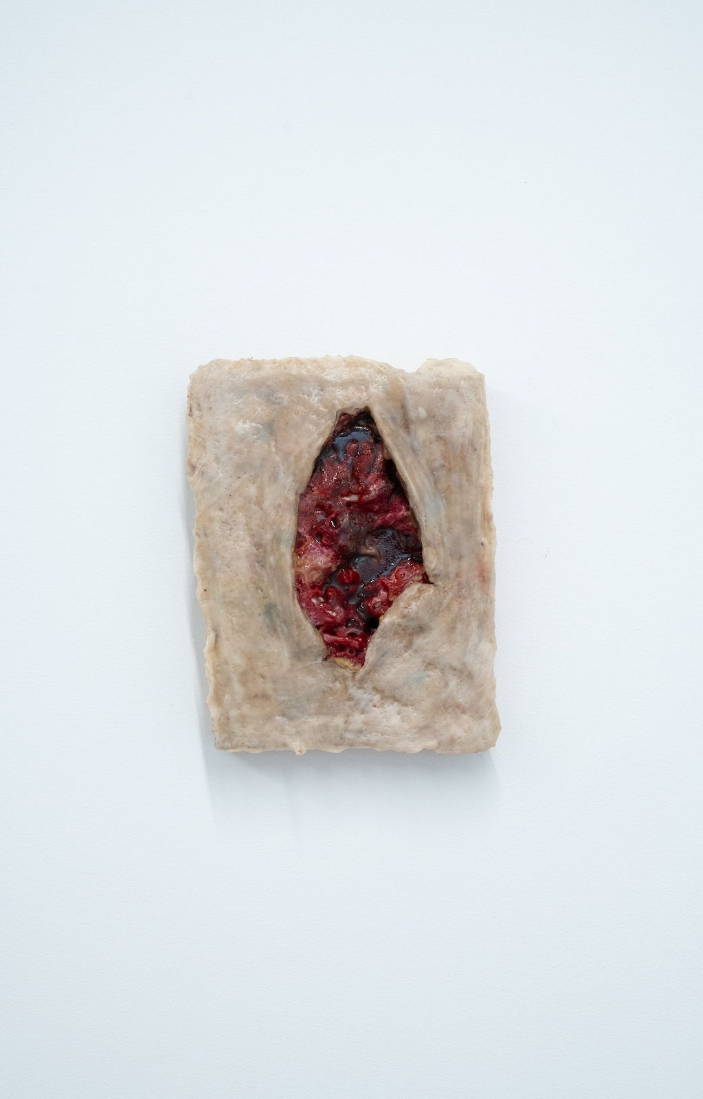 Anat Homm, Vulgär, 2023