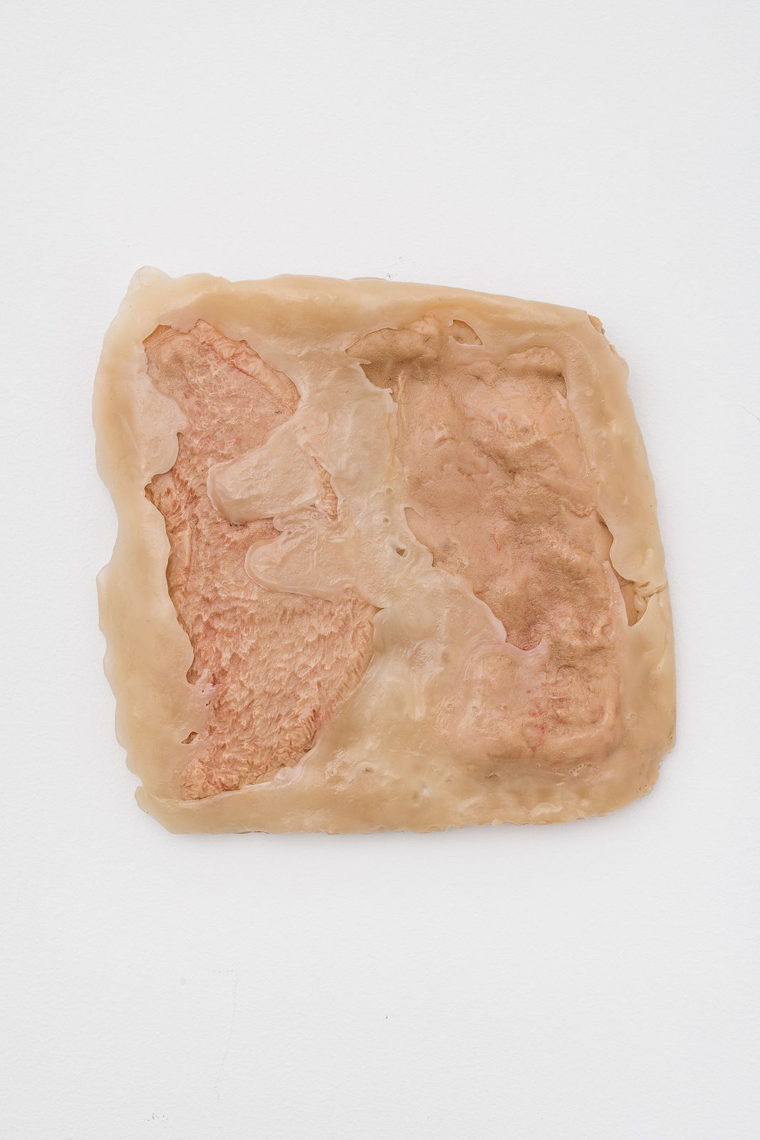 Anat Homm, Wildes Fleisch III, 2022