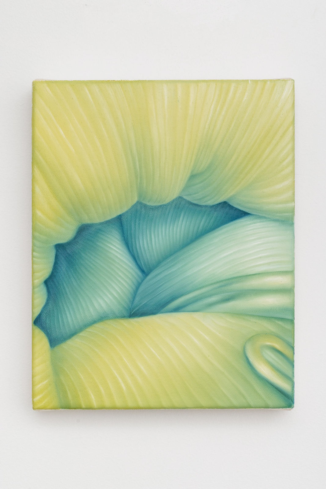 Alejandra Moros, Anillos, 2023