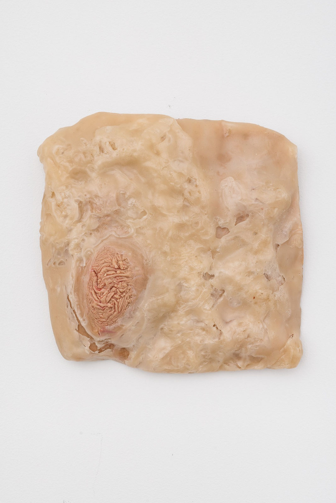 Anat Homm, Wildes Fleisch I, 2022