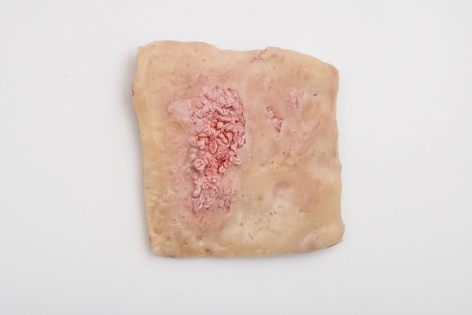 Anat Homm, Wildes Fleisch II, 2022