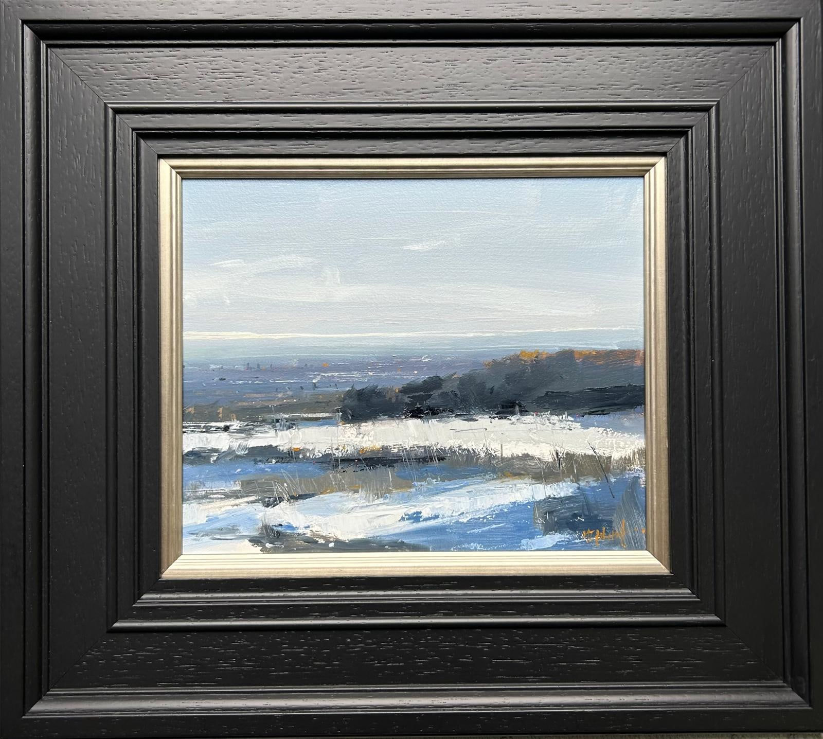 Michael Ashcroft ROI MAFA, Manchester in Snow