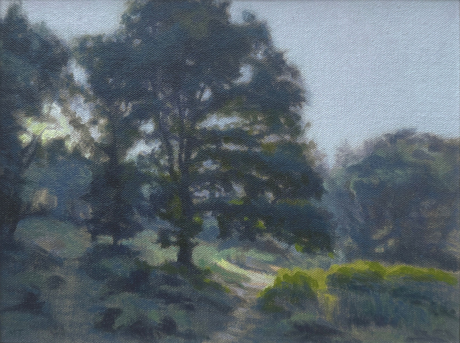 Mark Taylor, Summer Sunrise on the Common