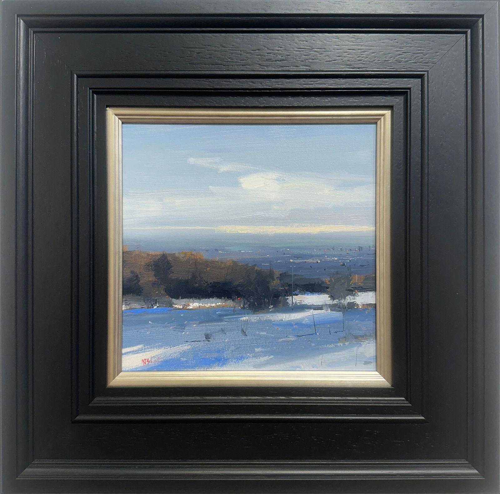 Michael Ashcroft ROI MAFA, City White Over