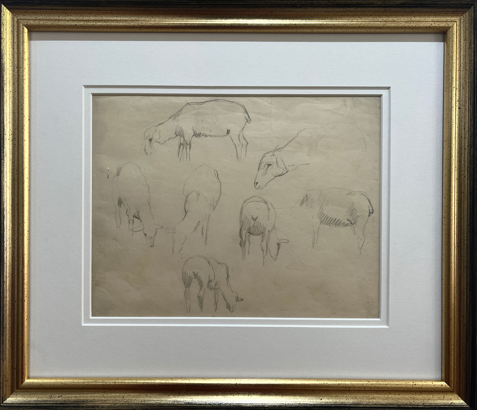 Pierre Adolphe Valette, Goat Anatomy Study