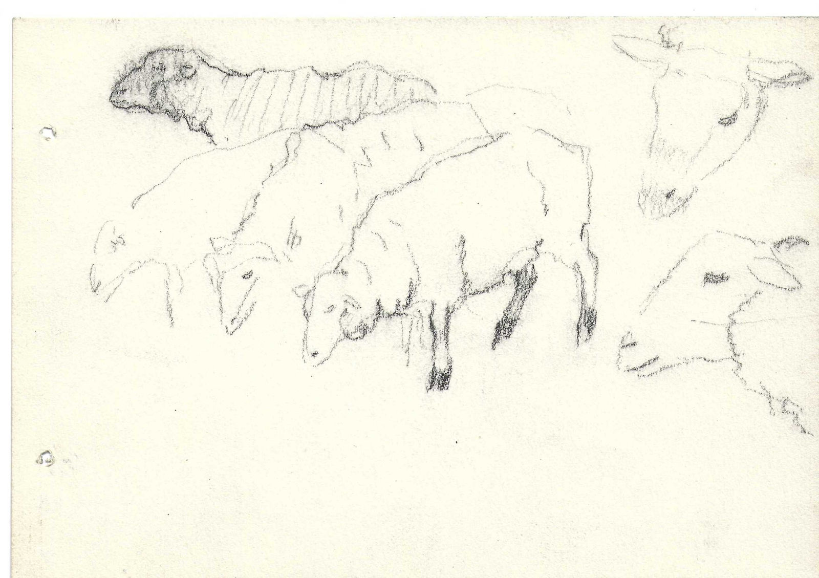 Pierre Adolphe Valette, Group of Sheep 1