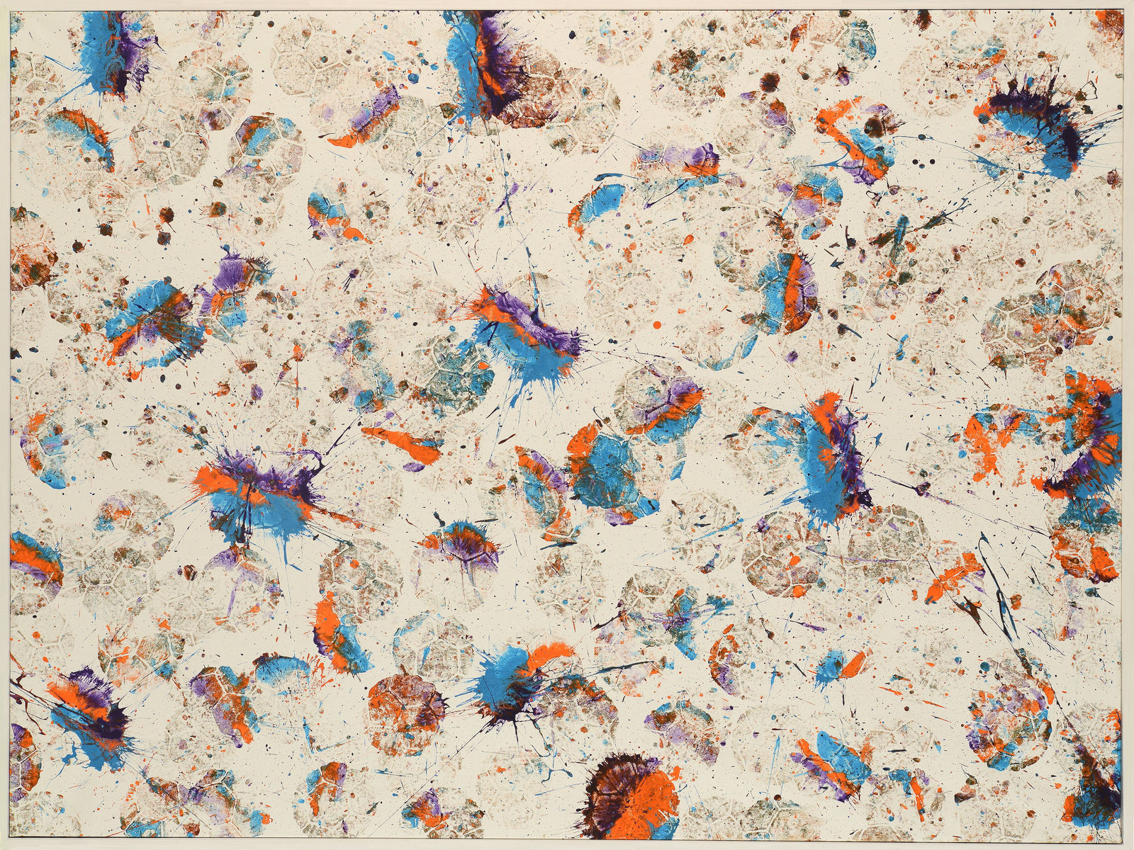 Marco Adamo, Cielo e Mare, 2024