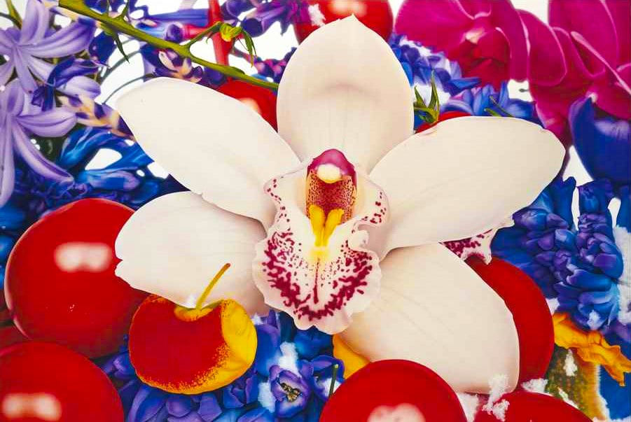 Marc Quinn, The Slopes of Mount Abu, 2010