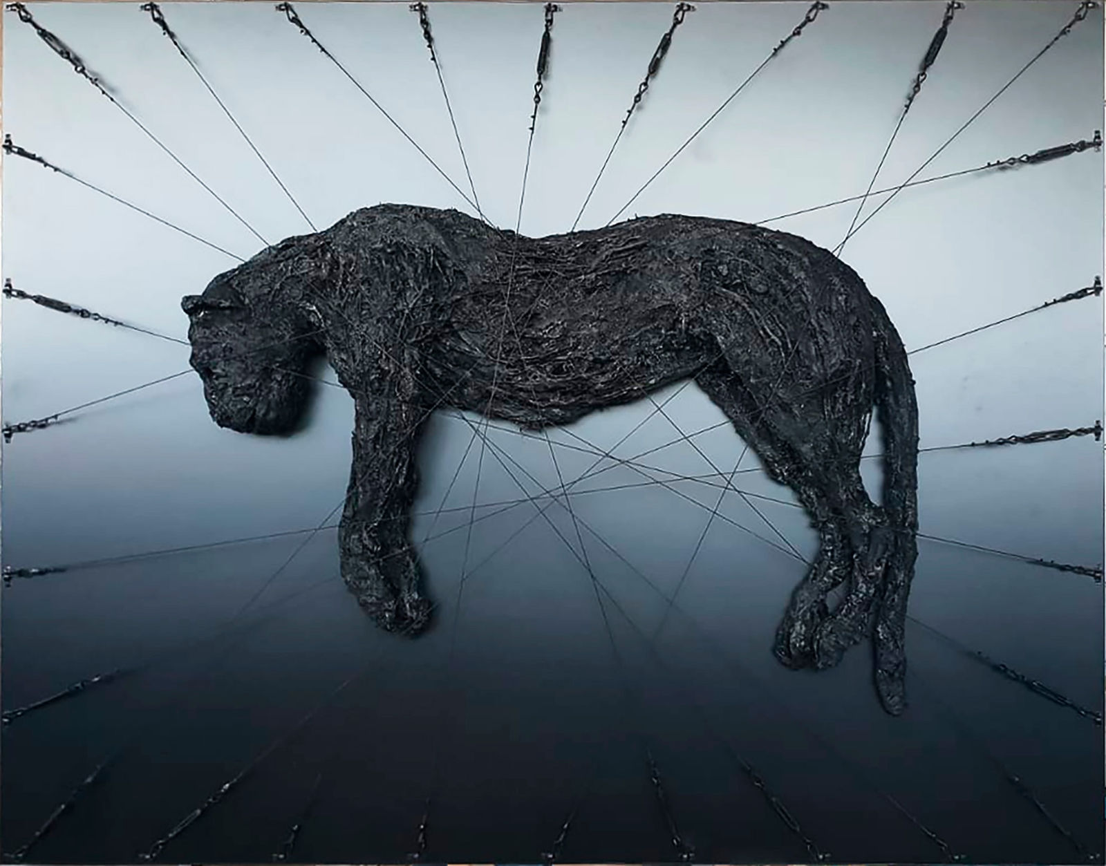 Enzo Fiore, Jail, 2021