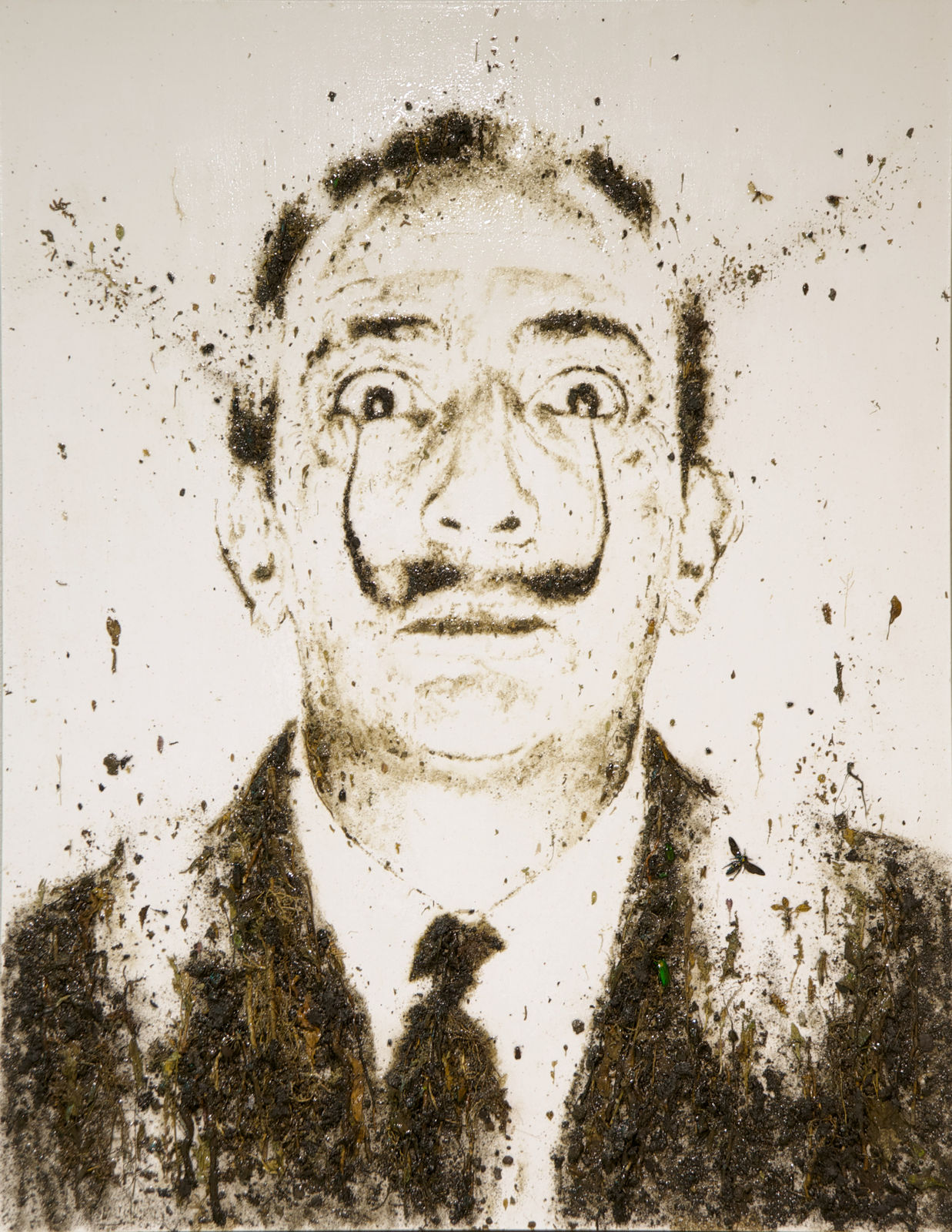 Enzo Fiore, Apocalisse S. Dalì, 2013