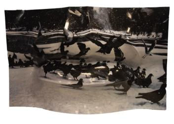 Giacomo Braglia, #FlyingLips, 2018