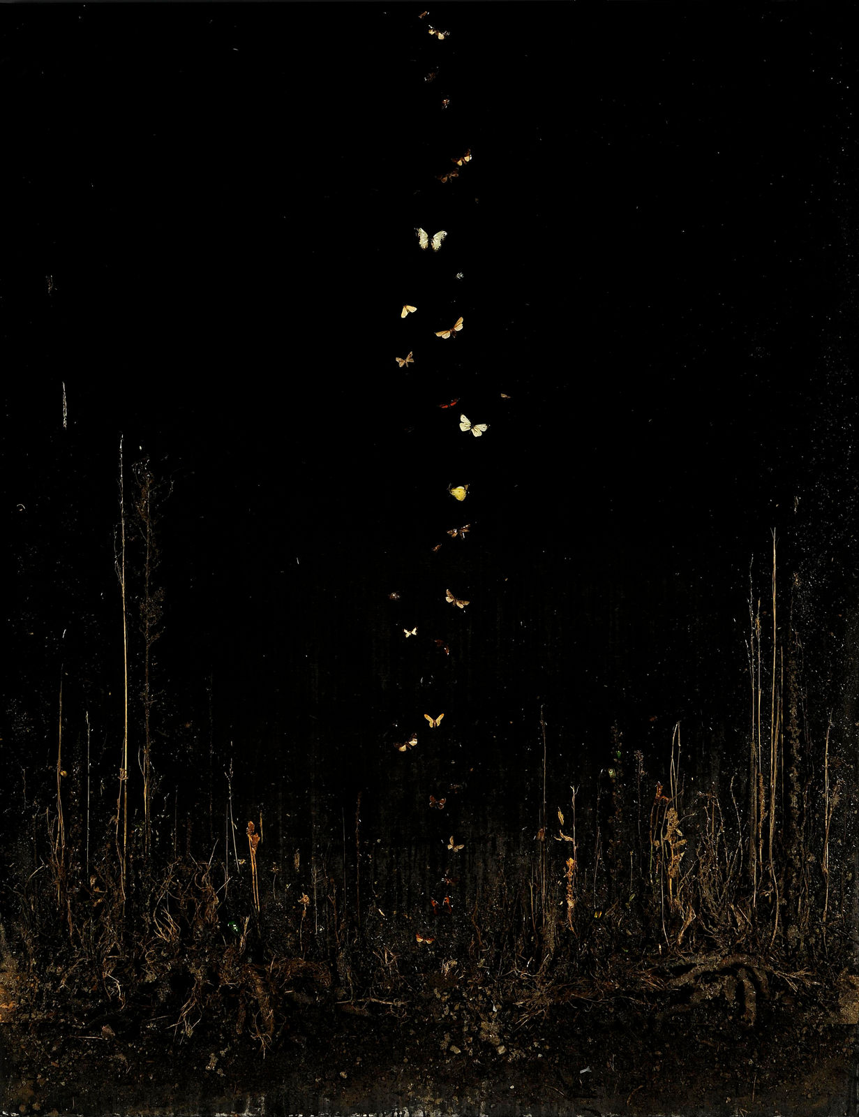 Enzo Fiore, Di Notte…, 2017