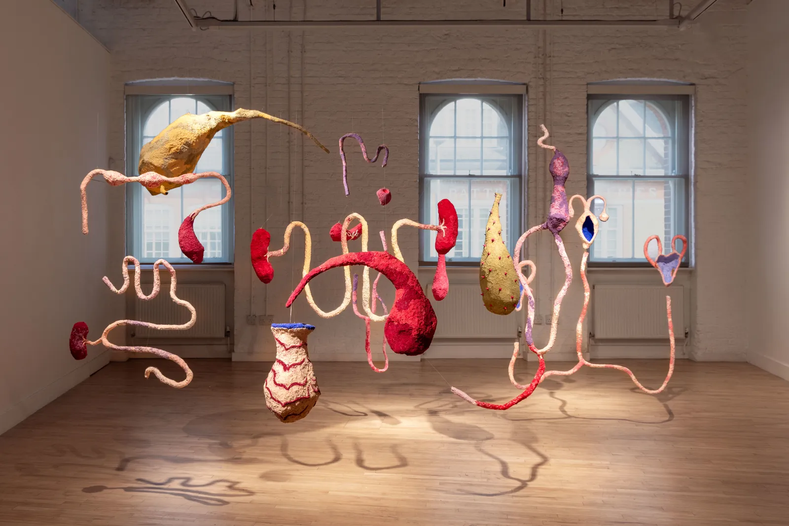 Blanca Gracia, Internal landscape, 2025