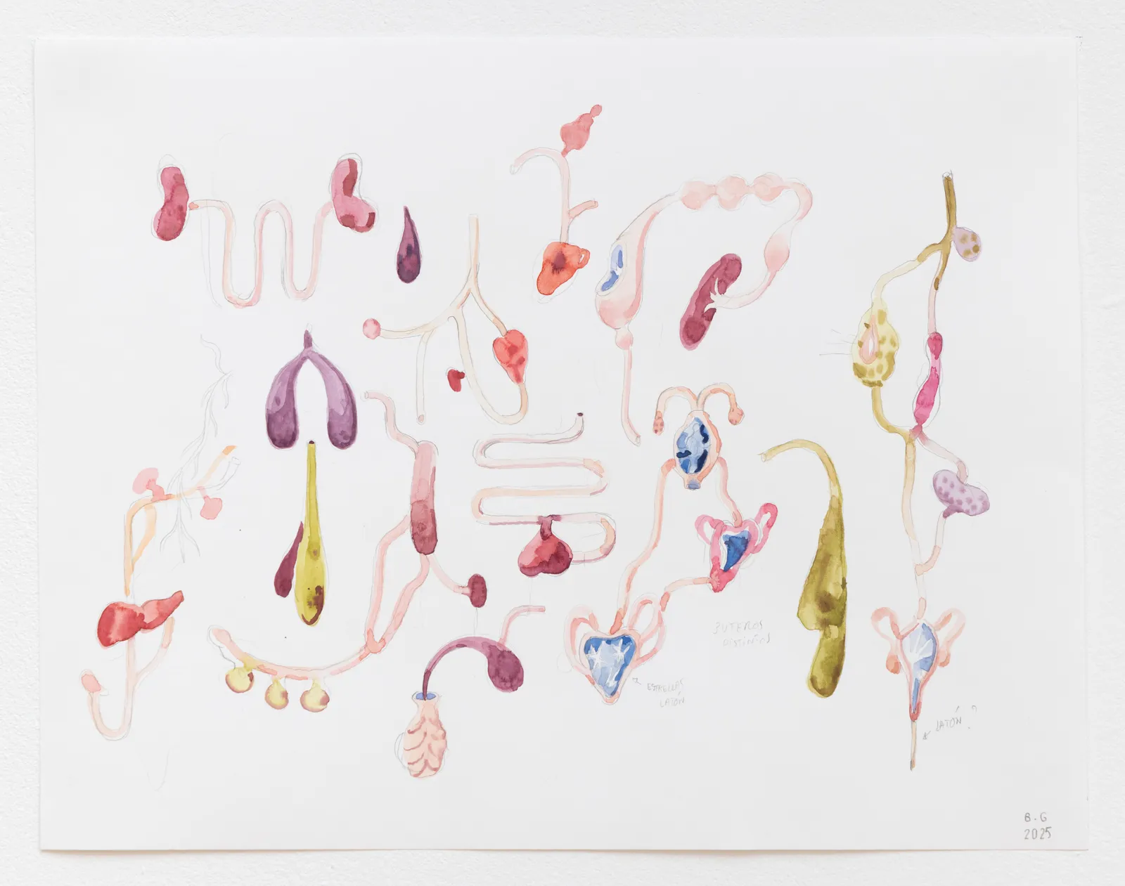 Blanca Gracia, study for Internal landscape 1, 2025