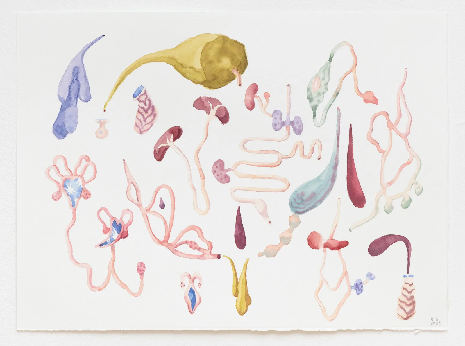 Blanca Gracia, study for Internal landscape 2, 2025