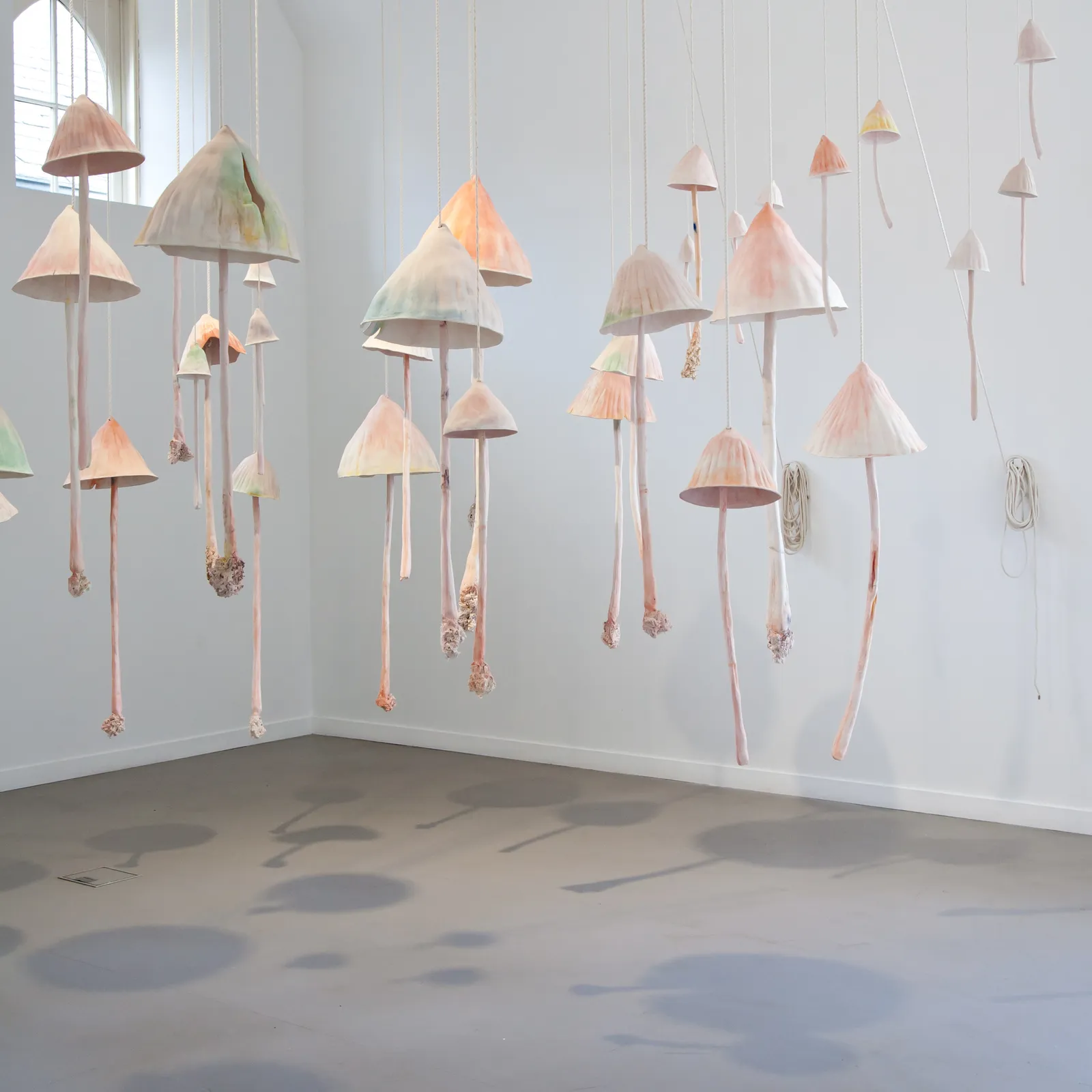 Serena Korda, Hold Fast, Stand Sure, I scream a revolution, 2016