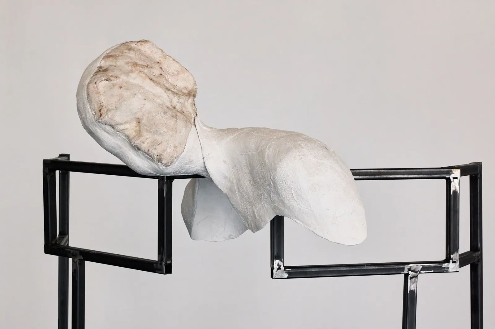 Fani Parali, Rest, 2024