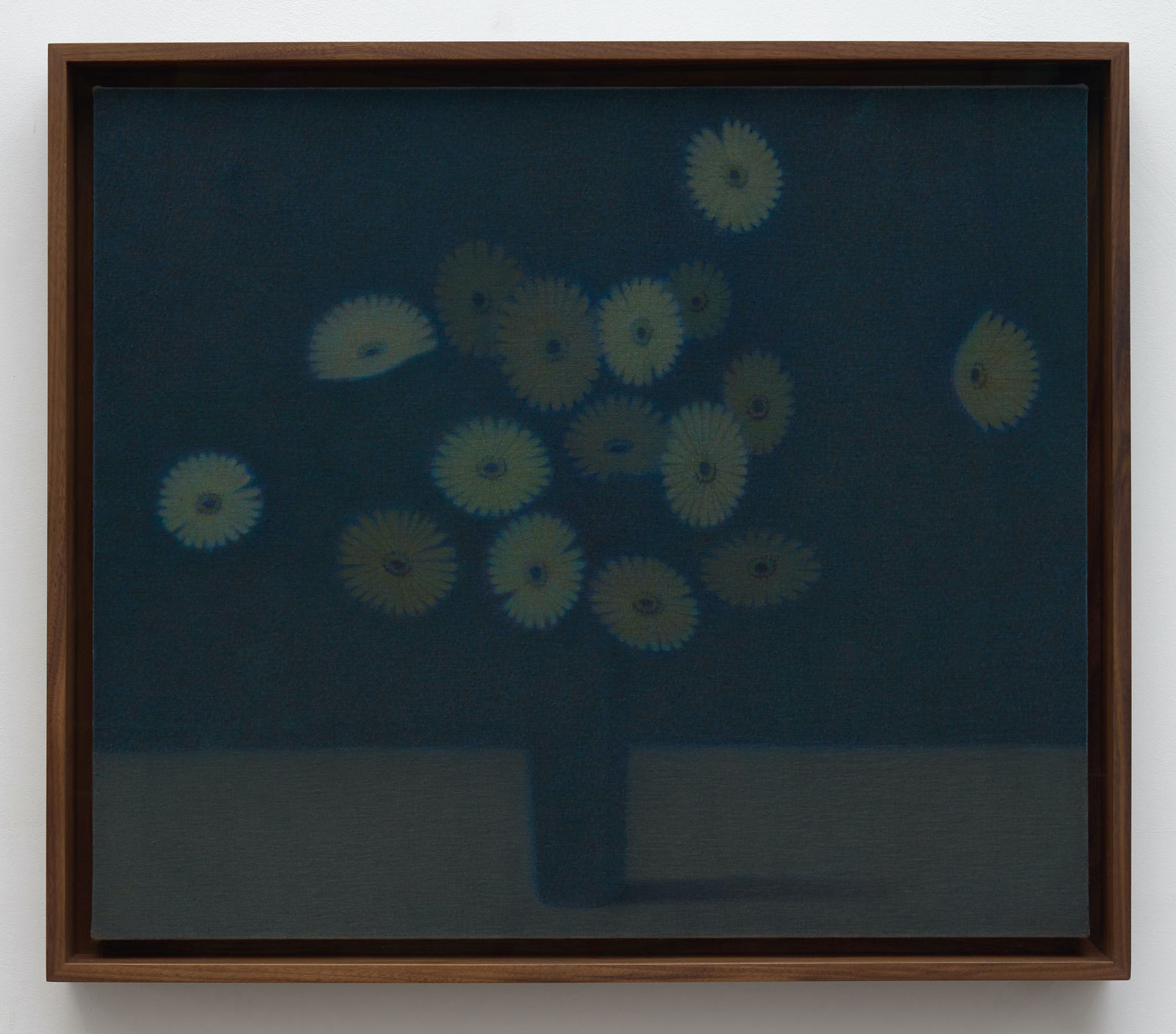 Johnny Izatt-Lowry, Sixteen white flowers, at night , 2025