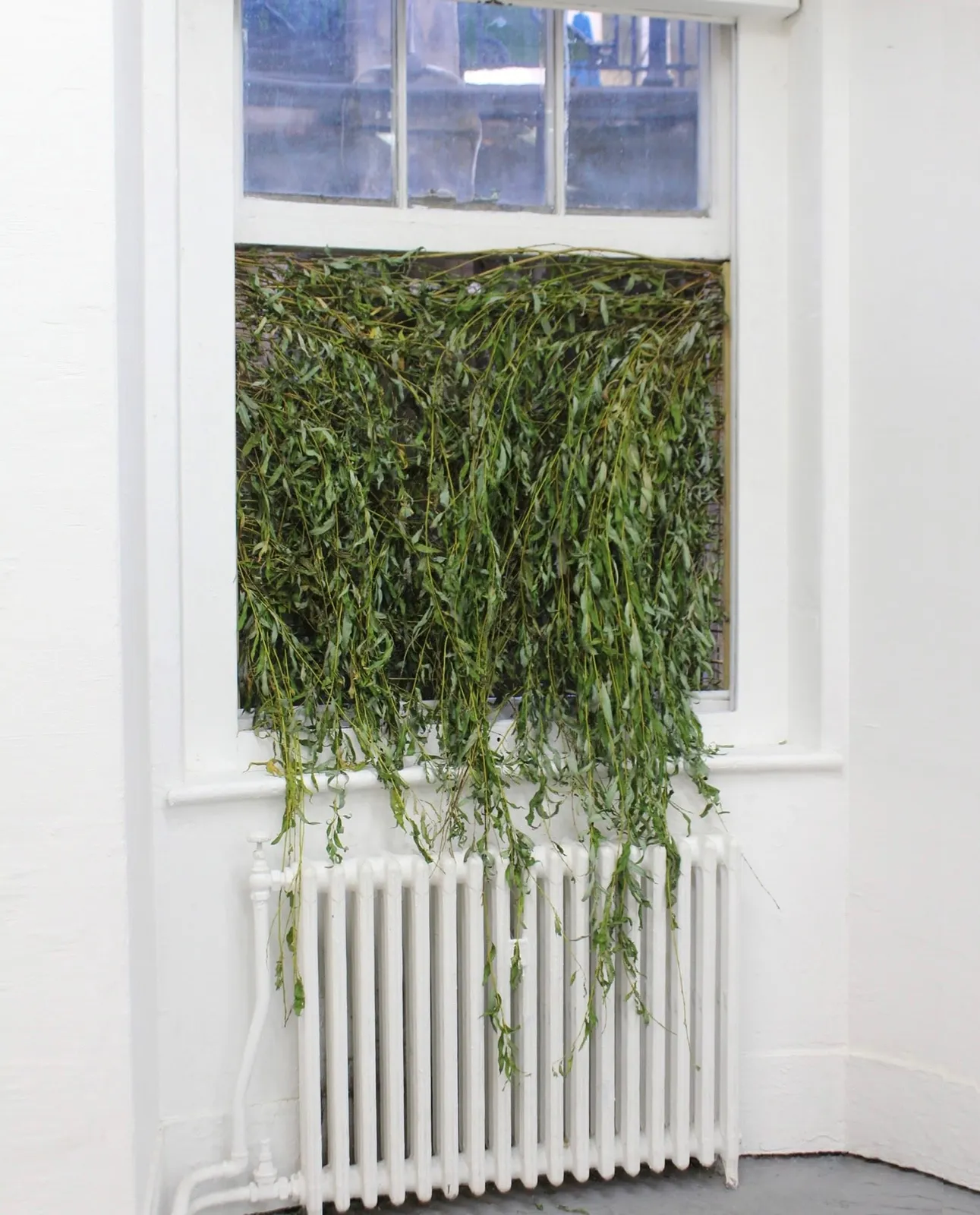 Coral Harding, To Dwell Beneath, 2022