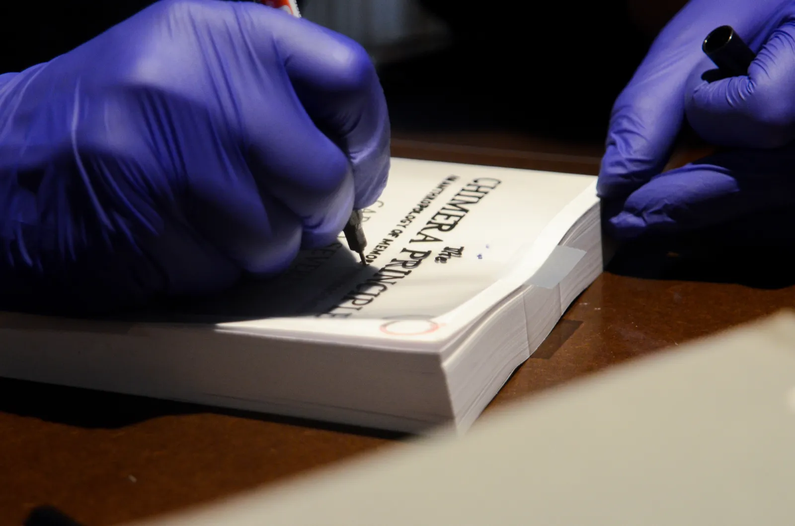 Jaro Varga, The Yellow Book, 2021