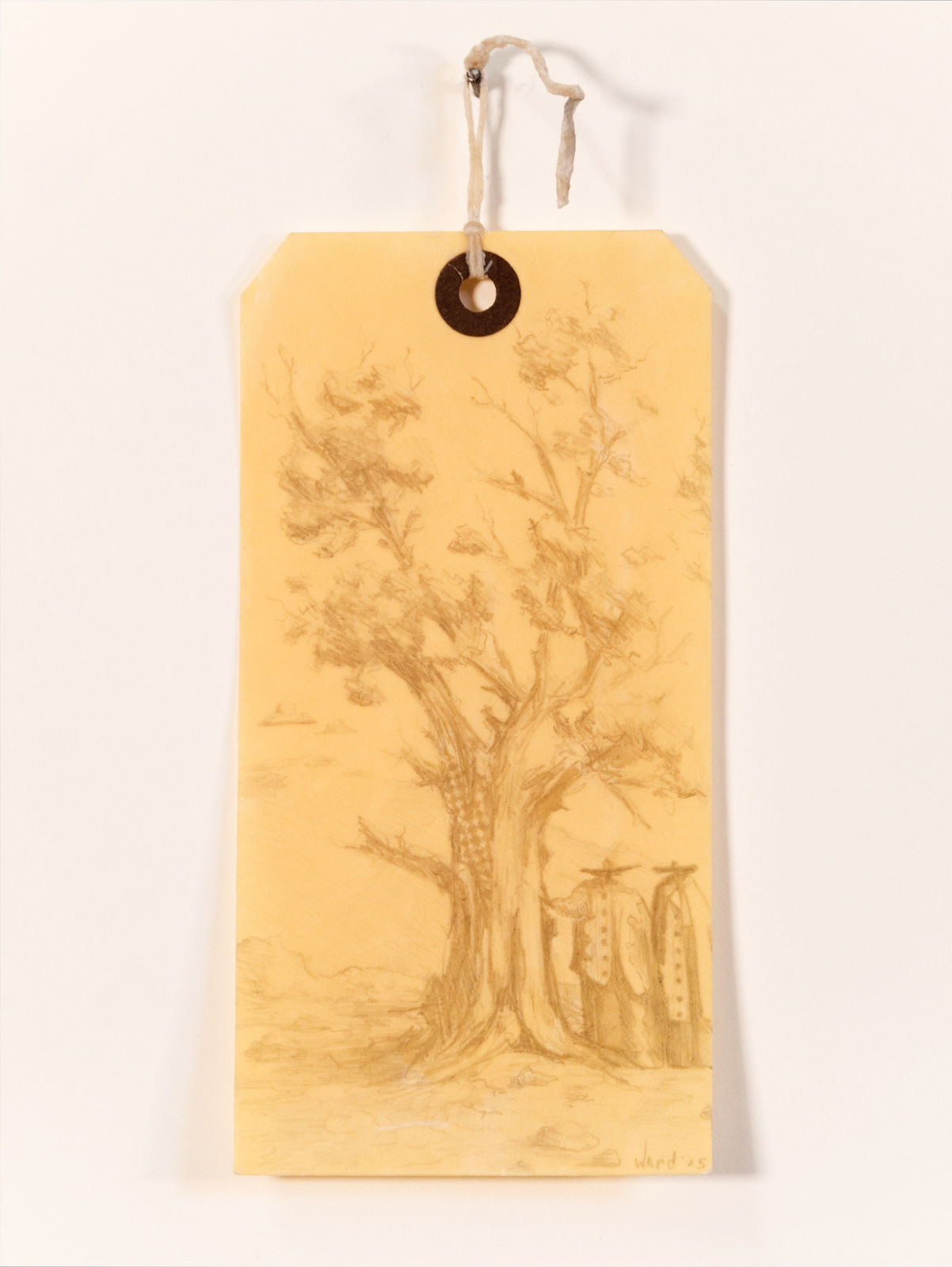 Nicholas Ward, Dream Take 24